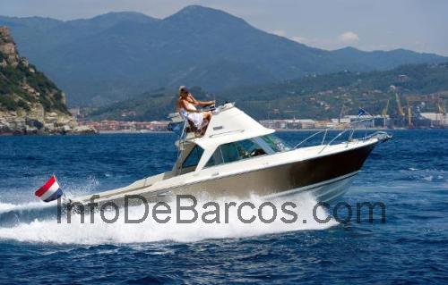 Bertram 25 ficha técnica y opiniones